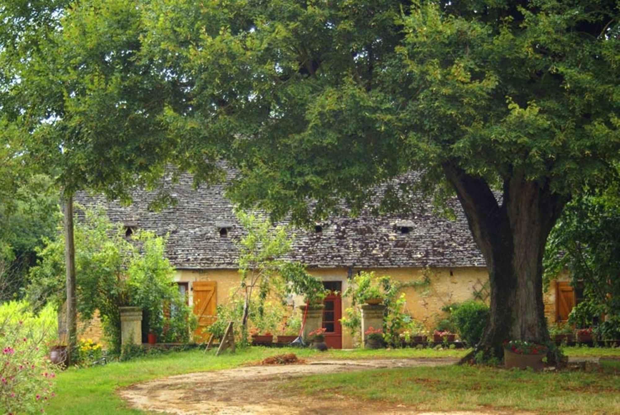 La Ferme Du Pech Bed and Breakfast Saint-Genies Buitenkant foto